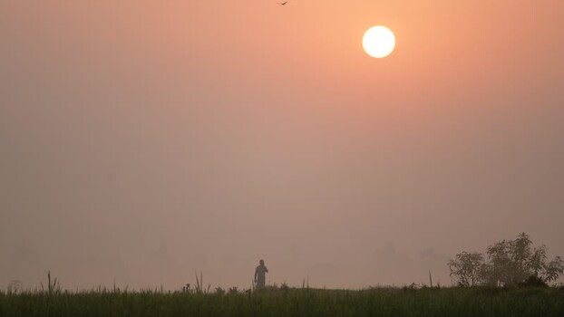 View of a person walking in a field at sunrise Bangladesh. View of a person walking in a field at sunrise Bangladesh.