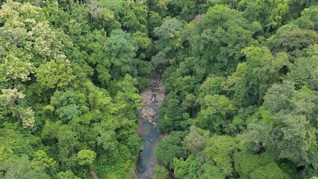 Aerial view of a winding river in the rainforest Costa Rica. Aerial view of a winding river in the rainforest Costa Rica.