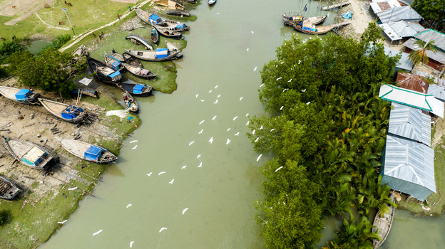 Aerial view of wooden boats moored along the riverbank near lush greenery and small buildings with a flock of white birds flying over the water in Patharghata Barisal Division Bangladesh. Aerial view of wooden boats moored along the riverbank near lush greenery and small buildings with a flock of white birds flying over the water in Patharghata Barisal Division Bangladesh.