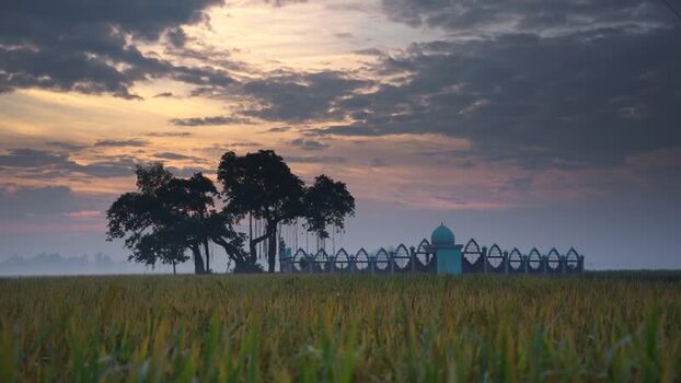 View of a mosque and tree in a rural field at sunset Bangladesh.
