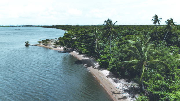 Aerial view of lush palm trees lining a sandy beach along the calm blue waters of the lagoon in Badagry Lagos Nigeria.