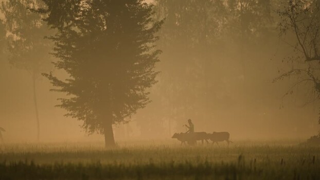 View of a farmer plowing a field with oxen in the mist Bangladesh.