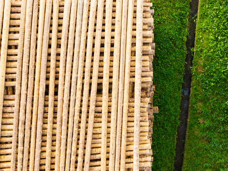 Aerial view of a large stack of wooden logs arranged in parallel rows next to a narrow drainage ditch and green grass in Brankas Jelgava Municipality Latvia. Aerial view of a large stack of wooden logs arranged in parallel rows next to a narrow drainage ditch and green grass in Brankas Jelgava Municipality Latvia.