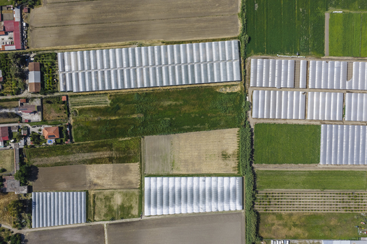 Aerial view of agricultural fields and large greenhouses surrounded by rural houses and green vegetation in Paestum Campania Italy.