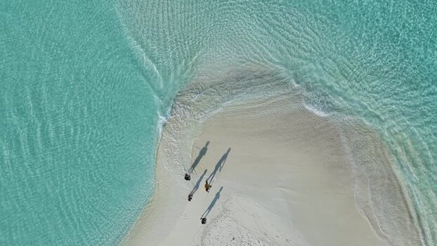 Aerial view of people walking on a white sandbar in Maldives.