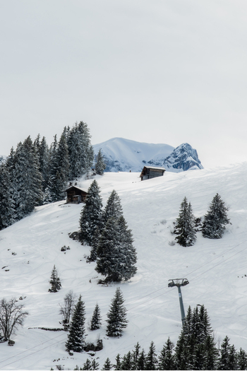 View of snow laden evergreens and rustic wooden huts dot a serene white blanketed hillside with a majestic snow capped mountain backdrop Wengen Switzerland. View of snow laden evergreens and rustic wooden huts dot a serene white blanketed hillside with a majestic snow capped mountain backdrop Wengen Switzerland.