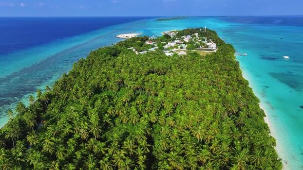 Aerial view of lush tropical island and coral reefs in Maldives.