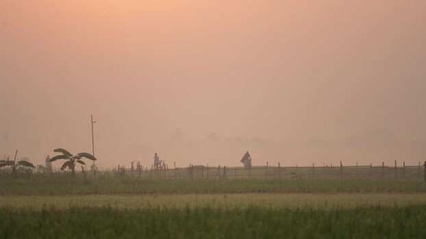View of people in a misty rural landscape at sunrise Bangladesh. View of people in a misty rural landscape at sunrise Bangladesh.
