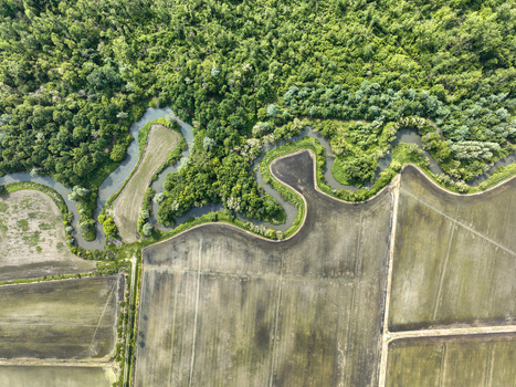 Aerial view of the winding river bordering the lush forest of Parco Naturale del Bosco delle Sorti della Partecipanza and agricultural fields in Trino Piemonte Italy. Aerial view of the winding river bordering the lush forest of Parco Naturale del Bosco delle Sorti della Partecipanza and agricultural fields in Trino Piemonte Italy.