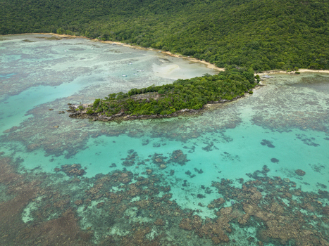 Aerial view of the turquoise waters meet the lush greenery of a small island near Annora Beach Karimunjawa Jawa Tengah Indonesia.