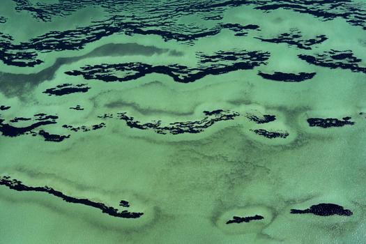 Aerial view of intricate turquoise water patterns and dark seagrass beds in the shallow coastal waters of the Shire of Shark Bay Western Australia Australia. Aerial view of intricate turquoise water patterns and dark seagrass beds in the shallow coastal waters of the Shire of Shark Bay Western Australia Australia.
