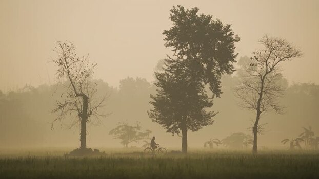 View of a person riding a bicycle through misty trees Bangladesh.
