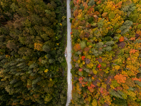 Aerial view of a road winding through a dense forest with vibrant autumn foliage in shades of orange yellow and green in Bulgaria. Aerial view of a road winding through a dense forest with vibrant autumn foliage in shades of orange yellow and green in Bulgaria.