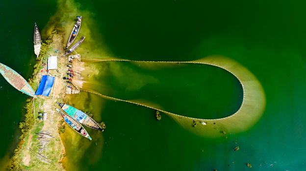 Aerial view of fishermen casting a large net from wooden boats into the green waters of Kaptai Lake in Rangamati Chittagong Division Bangladesh.