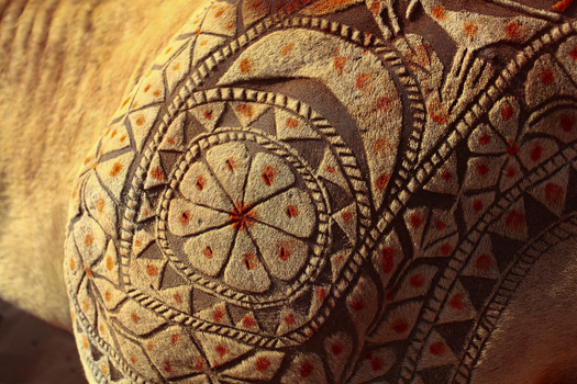 View of intricate geometric tattoo patterns shaved into the fur of a camel at the Chanan Pir festival in Yazman Punjab Pakistan.