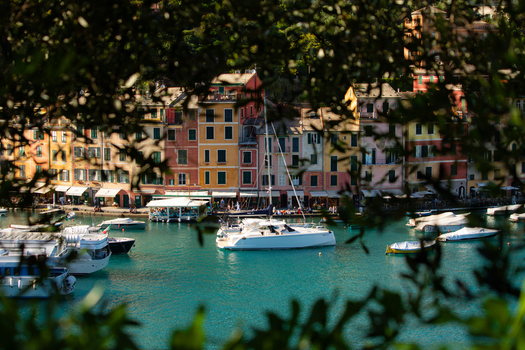 View of colorful historic houses and boats in the harbor framed by green foliage in Portofino Liguria Italy.