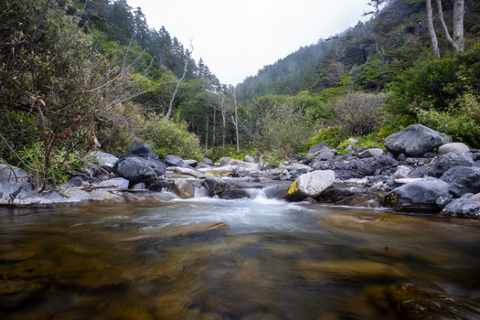 View of a clear mountain stream flowing over rocks through the lush forest of the Lost Coast in Humboldt County California United States.