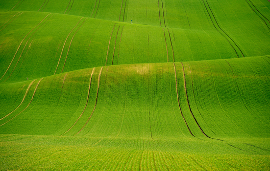 View of rolling green hills and agricultural furrows in the Moravian landscape Brno City District South Moravian Region Czechia.