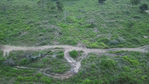 Aerial view of the landscape near Sigiriya Sri Lanka.