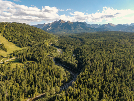 Aerial view of the Bialka river winding through dense pine forests with the Tatra mountains in the background in Jurgow Lesser Poland Voivode Poland. Aerial view of the Bialka river winding through dense pine forests with the Tatra mountains in the background in Jurgow Lesser Poland Voivode Poland.