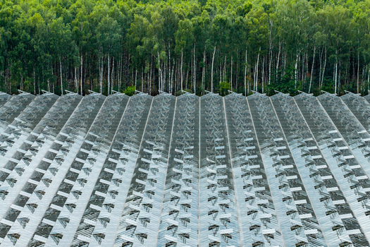 Aerial view of a large greenhouse with glass roof panels adjacent to a dense forest in Masovian Voivodeship Poland. Aerial view of a large greenhouse with glass roof panels adjacent to a dense forest in Masovian Voivodeship Poland.