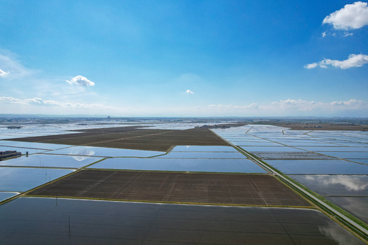 Aerial view of the flooded rice fields at Azienda Agricola Veneria with geometric patterns and blue sky reflections in Veneria Piemonte Italy. Aerial view of the flooded rice fields at Azienda Agricola Veneria with geometric patterns and blue sky reflections in Veneria Piemonte Italy.