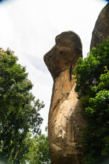 View of a massive vertical rock formation surrounded by lush green trees under a bright sky in Sigiriya Central Province Sri Lanka. View of a massive vertical rock formation surrounded by lush green trees under a bright sky in Sigiriya Central Province Sri Lanka.