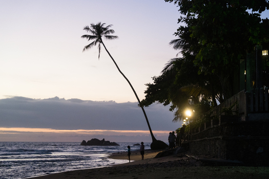 View of a leaning palm tree silhouetted against the twilight sky with people standing on the sandy beach and waves washing ashore Galle Southern Province Sri Lanka.