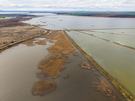 Aerial view of Lake Atanasovsko featuring salt pans and dry reeds with the city skyline in the distance under a cloudy sky in Burgas Burgas Bulgaria. Aerial view of Lake Atanasovsko featuring salt pans and dry reeds with the city skyline in the distance under a cloudy sky in Burgas Burgas Bulgaria.