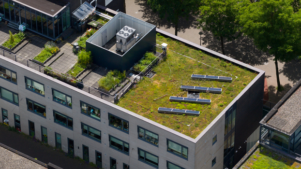 Aerial View of Green Roof for Climate Adaptation Aerial View of Green Roof for Climate Adaptation