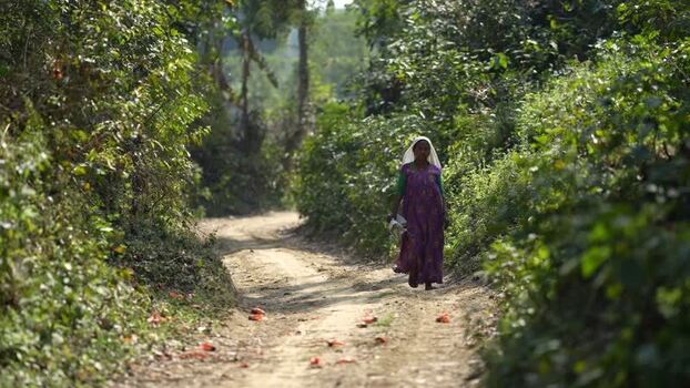 View of a woman walking on a rural dirt path in Surkhet Nepal.