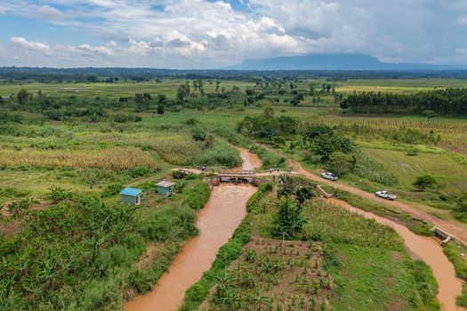 Aerial view of a muddy river flowing through lush agricultural fields and banana plantations with a small bridge and dirt road in Butaleja Eastern Region Uganda. Aerial view of a muddy river flowing through lush agricultural fields and banana plantations with a small bridge and dirt road in Butaleja Eastern Region Uganda.