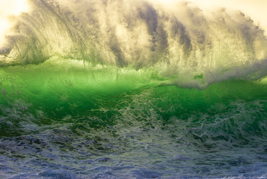 View of a powerful translucent green ocean wave breaking with white sea foam under golden sunlight at the North Shore Haleiwa Hawaii United States.