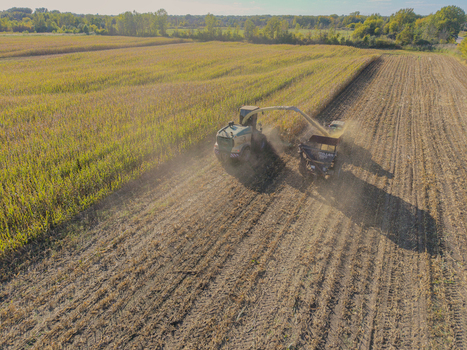 Green Bay Wisconsin United States 25 September 2026 Aerial view of a forage harvester chopping corn for silage in a large agricultural field under a clear sky.