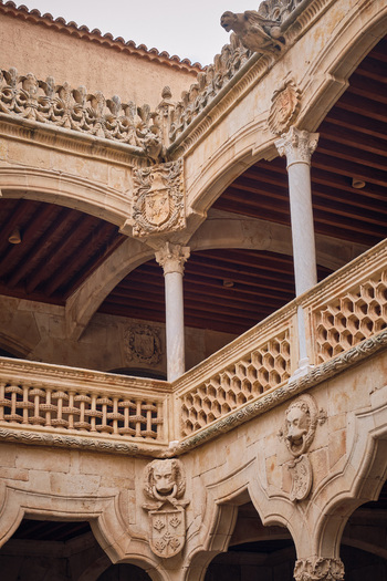 Salamanca Spain 29 November 2025 View of the ornate courtyard of the Casa de las Conchas featuring intricate stone carvings Plateresque arches and historic coats of arms.