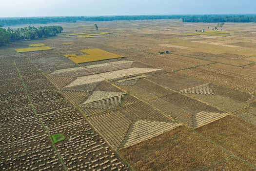 Aerial view of agricultural fields with harvested crops and geometric patterns in the rural landscape of Panchagarh Rangpur Division Bangladesh. Aerial view of agricultural fields with harvested crops and geometric patterns in the rural landscape of Panchagarh Rangpur Division Bangladesh.