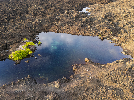 Aerial view of an anchialine pool with clear blue water reflecting the sky surrounded by dark volcanic lava rock and green shrubs at Waikoloa Beach in Waikoloa Village Hawaii United States.