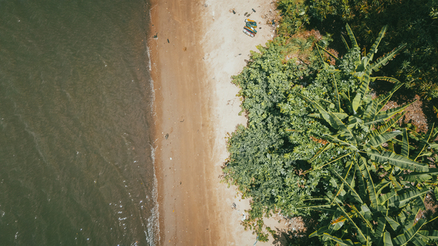 Aerial view of the shoreline with a sandy beach and lush tropical vegetation in Badagry Lagos Nigeria.