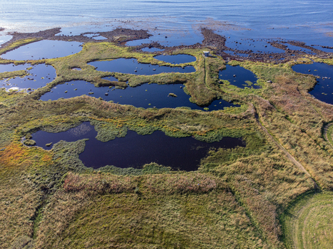 Aerial view of dark reflective pools mirroring the sky scattered across a vibrant green and brown landscape Marmelkroken bird spotting Nordland Norway.
