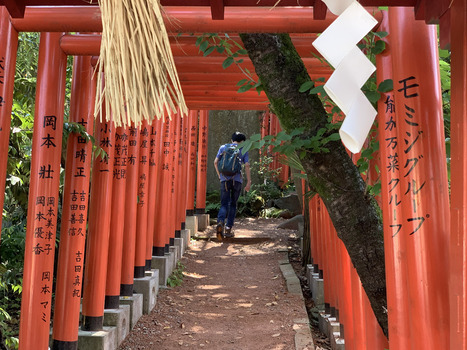 Kyoto Japan 06 July 2026 View of a person walking through the iconic red torii gates at Fushimi Inari Shrine surrounded by lush forest greenery. Kyoto Japan 06 July 2026 View of a person walking through the iconic red torii gates at Fushimi Inari Shrine surrounded by lush forest greenery.