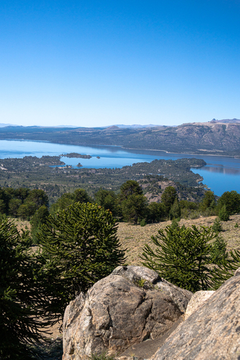 View of Alumine Lake and the volcanic landscape of Batea Mahuida with araucaria trees in the foreground under a clear blue sky in Neuquen Neuquen Province Argentina.