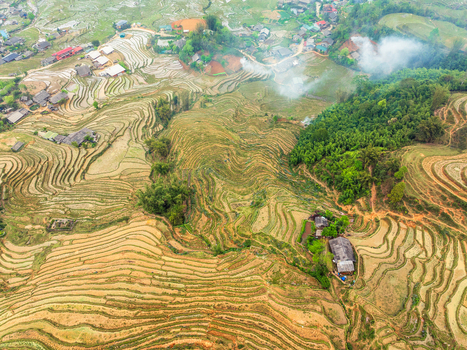 Aerial view of terraced rice fields carved into the hillsides with small rural houses and lush vegetation in the mountainous landscape of Vietnam. Aerial view of terraced rice fields carved into the hillsides with small rural houses and lush vegetation in the mountainous landscape of Vietnam.