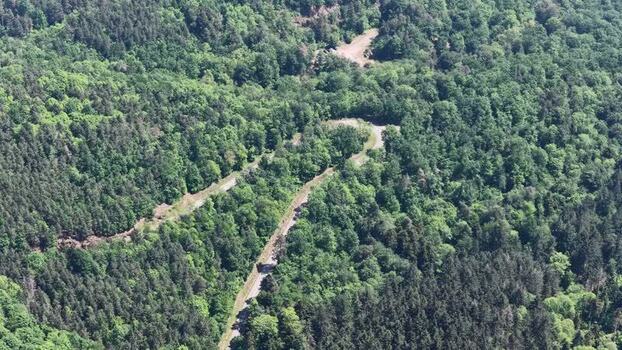 Aerial view of a winding road through a dense forest France.