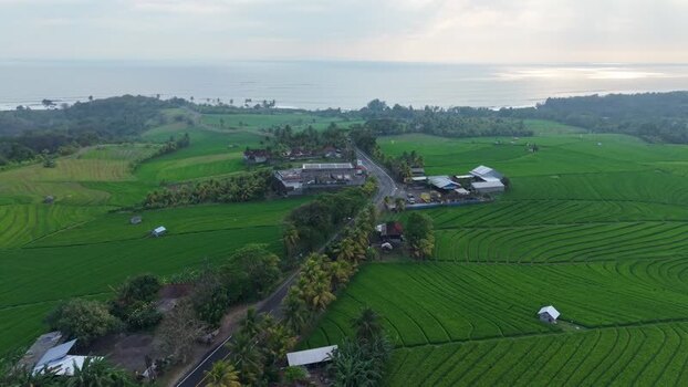 Aerial view of Soka Rice Field in Selemadeg Indonesia.