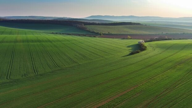 Aerial view of rolling green fields in South Moravian Region Czechia.