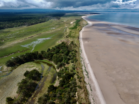 Aerial view of the Moray Firth Coast featuring sandy beaches lush green dunes and tidal pools under a dramatic cloudy sky in Nairn Scotland United Kingdom.