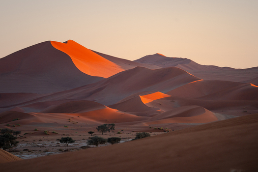 View of towering sun kissed dunes casting long shadows over the arid landscape punctuated by sparse trees Sossusvlei Hardap Region Namibia. View of towering sun kissed dunes casting long shadows over the arid landscape punctuated by sparse trees Sossusvlei Hardap Region Namibia.