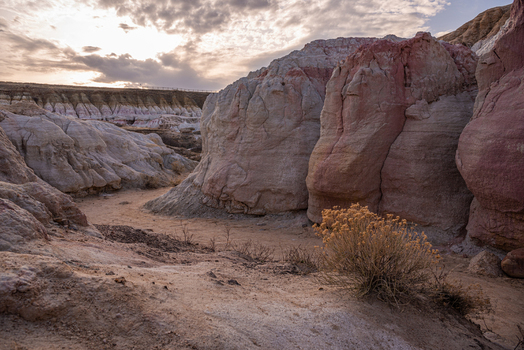 View of Paint Mines Interpretive Park featuring colorful clay formations and desert shrubs under a cloudy sky in Calhan Colorado United States.
