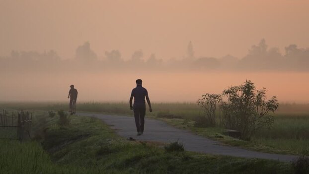 View of a man walking on a rural path through misty fields Bangladesh.