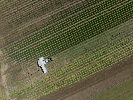 Aerial view of a tractor working in a large agricultural field with rows of crops and people standing nearby in Aschheim Bavaria Germany.